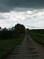 Weg vom Kronenhof auf den Damm der Toten Weichsel