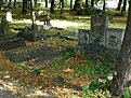 20090910 Friedhof Hochstriess (14306)
