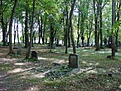 20090910 Friedhof Hochstriess (14354)