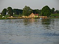 Das Nickelswalder Weichselufer
(20050526 D01245 Nickelswalde=