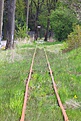 20100516 C01140 Nickelswalde Kleinbahngleise Richtung Steegen