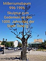 k Danzig 20230233